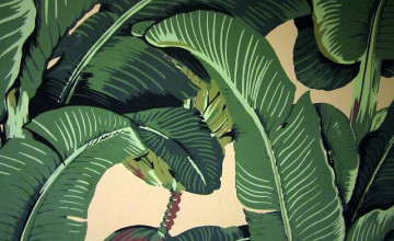 Beverly Hills Banana Leaf Wallpaper