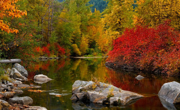 Bing Autumn Desktop Wallpapers
