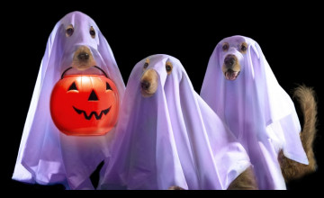 Bing Free Halloween