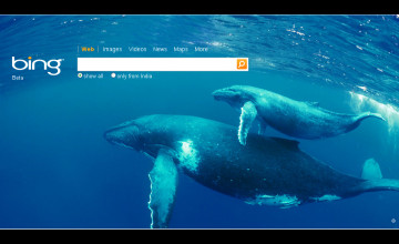 Bing Homepage Wallpapers