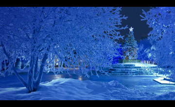 Bing Wallpaper Christmas Pictures