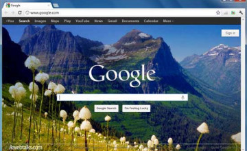 Bing Wallpapers for Google Homepage