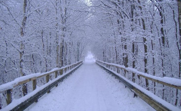 Bing Winter Scenes