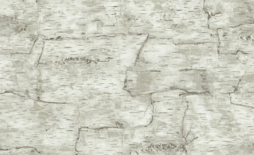 Birch Bark Wallpaper Border