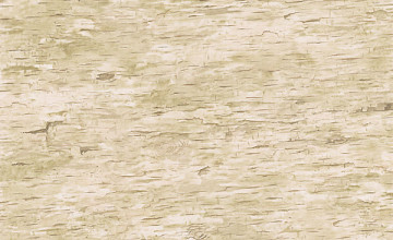 Birch Bark Wallpaper with Texture