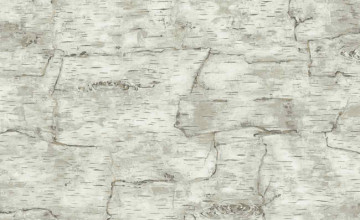 Birch Bark Wallpaper