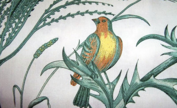 Bird & Thistle Wallpaper
