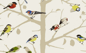 Bird Wallpapers by Schumacher