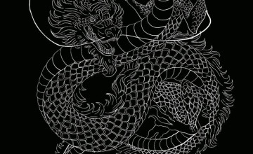 Black and Gray Dragon Wallpapers