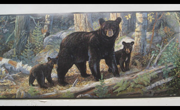 Black Bear Wallpaper Border