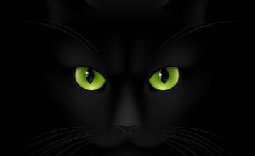 Black Cat with Green Eyes Wallpapers