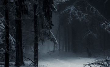 Black Forest Winter Wallpapers