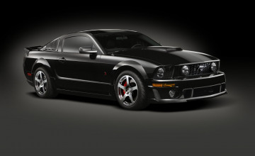 Black Mustang