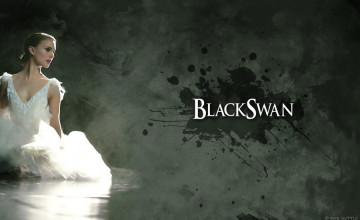 Black Swan Wallpapers