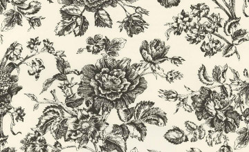 Black Toile Wallpapers
