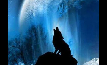 Blue Flame Wolf Live Wallpaper
