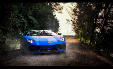Blue Lamborghinis