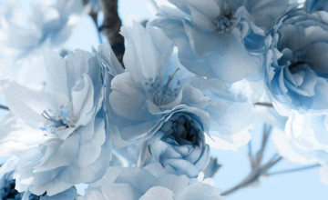 Blue Pastel Aesthetic Wallpapers
