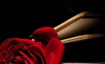 Books and Rose iPhone Wallpapers