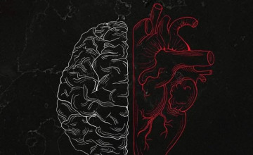 Brain vs Heart Wallpapers