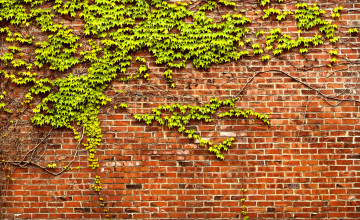 Brick and Ivy Wallpapers