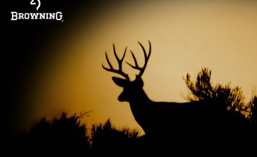 Browning Deer Wallpapers