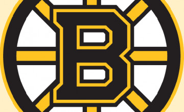 Bruins Wallpaper Border