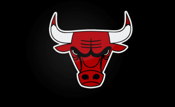 Bulls HD Wallpaper