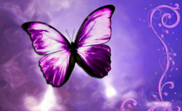Butterfly Backgrounds Images
