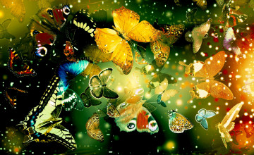 Butterfly Desktop Backgrounds Wallpapers
