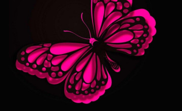 Butterfly HD Wallpapers