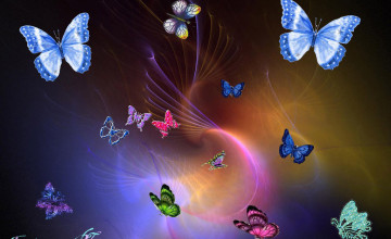 Butterfly Wallpapers Images