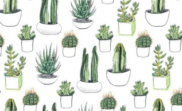 Cactus Wallpapers Tumblr