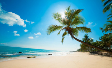 Caribbean Beaches Free