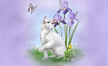Cat and Butterfly Wallpaper