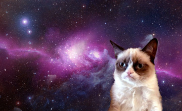 Cat in Space Wallpapers