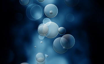 Cell Phone Wallpapers