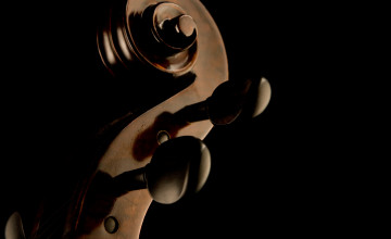 Cello Wallpapers on Computer