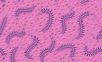 Centipede Backgrounds