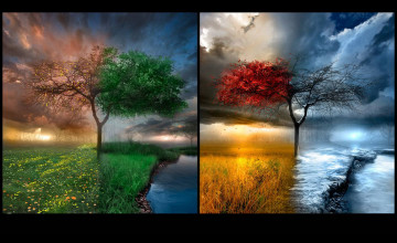 Changing Seasons Desktop Wallpaper