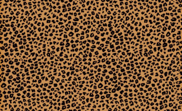 Cheetah Background