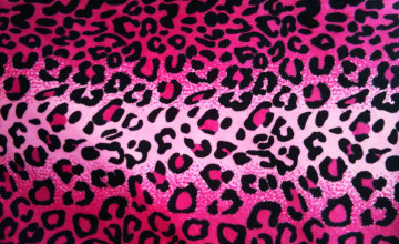 Cheetah Backgrounds