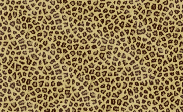 Cheetah Print for Laptop