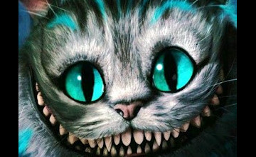 Cheshire Cat Live