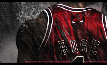 Chicago Bulls HD