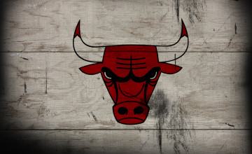 Chicago Bulls Logo HD