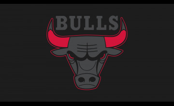 Chicago Bulls HD 2014