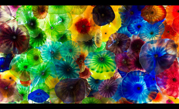 Chihuly Wallpapers