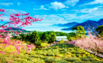 China Landscape Wallpapers