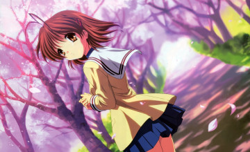 Clannad Wallpapers HD